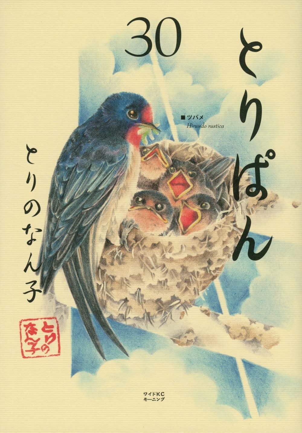 新作入荷，セール とりぱん(30) (ワイドKC) その他