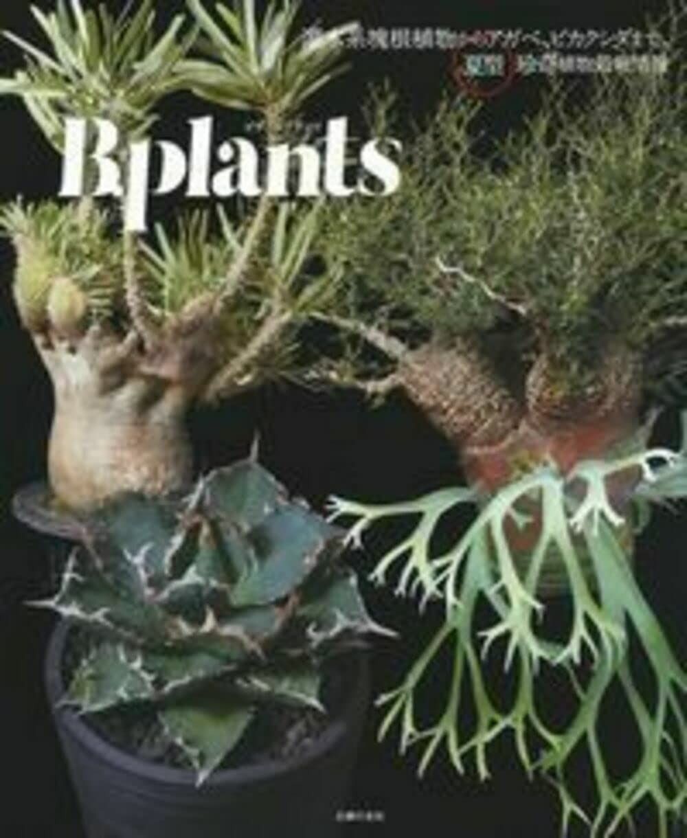 【品質保証，爆買い】 ビザールプランツ ― 灌木系塊根植物からアガベ、ビカクシダまで、夏型珍奇植物最新情報 その他