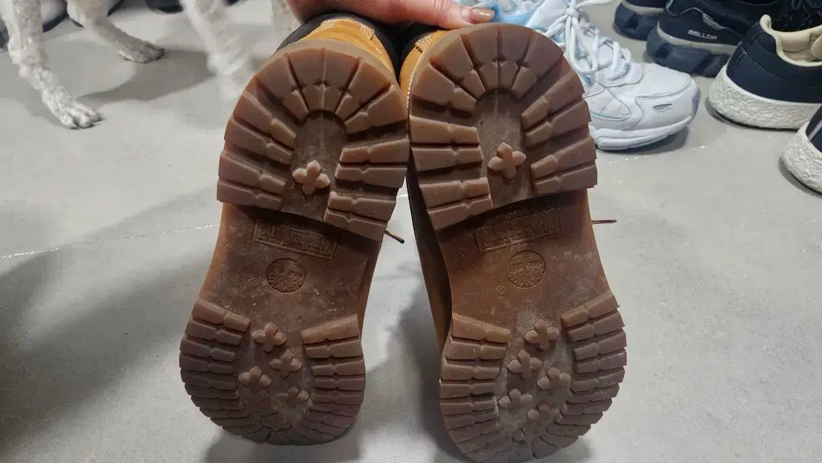 ティンバーランド ウォーカーブーツ