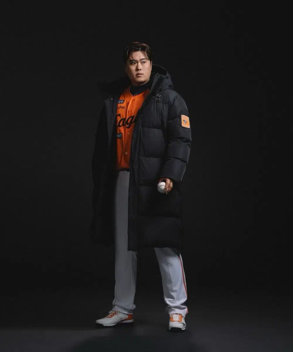 イーグルス スパイダー