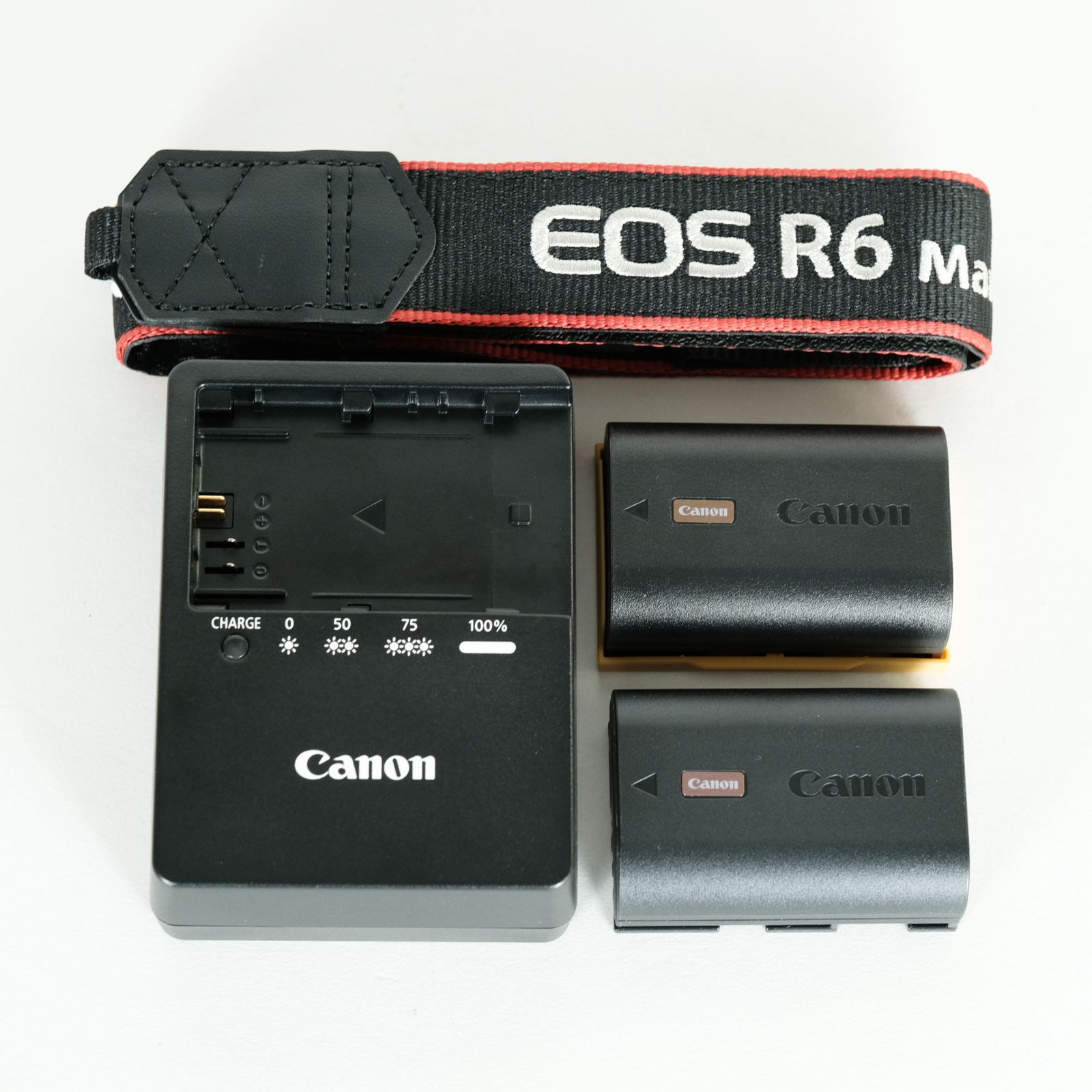 ミラーレス一眼