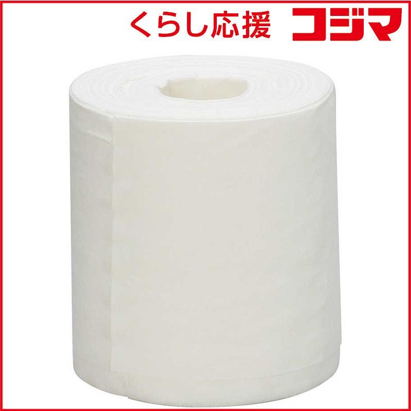 徹底解剖！骨盤矯正法 〜スタンダード理論&施術編〜　五十嵐浩之 2024 徹底解剖 骨盤矯正法 スタンダード理論&施術編 DVD 五十嵐浩之