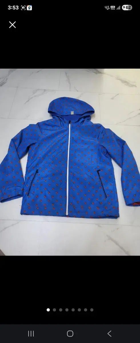 ⭕️ アルニー 白馬のペア サラブレッド 油彩画 金色フレーム