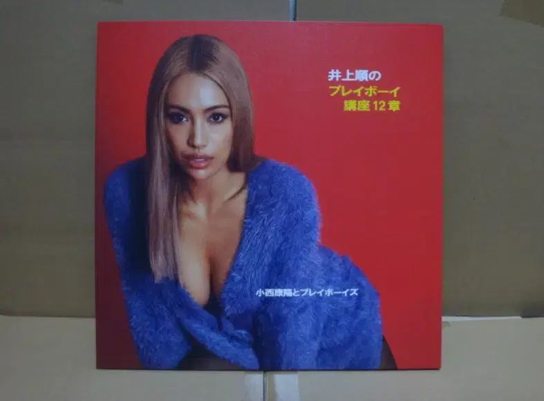 日本 LP Playboy プレイボーイ コース 12 腸 ー 盤