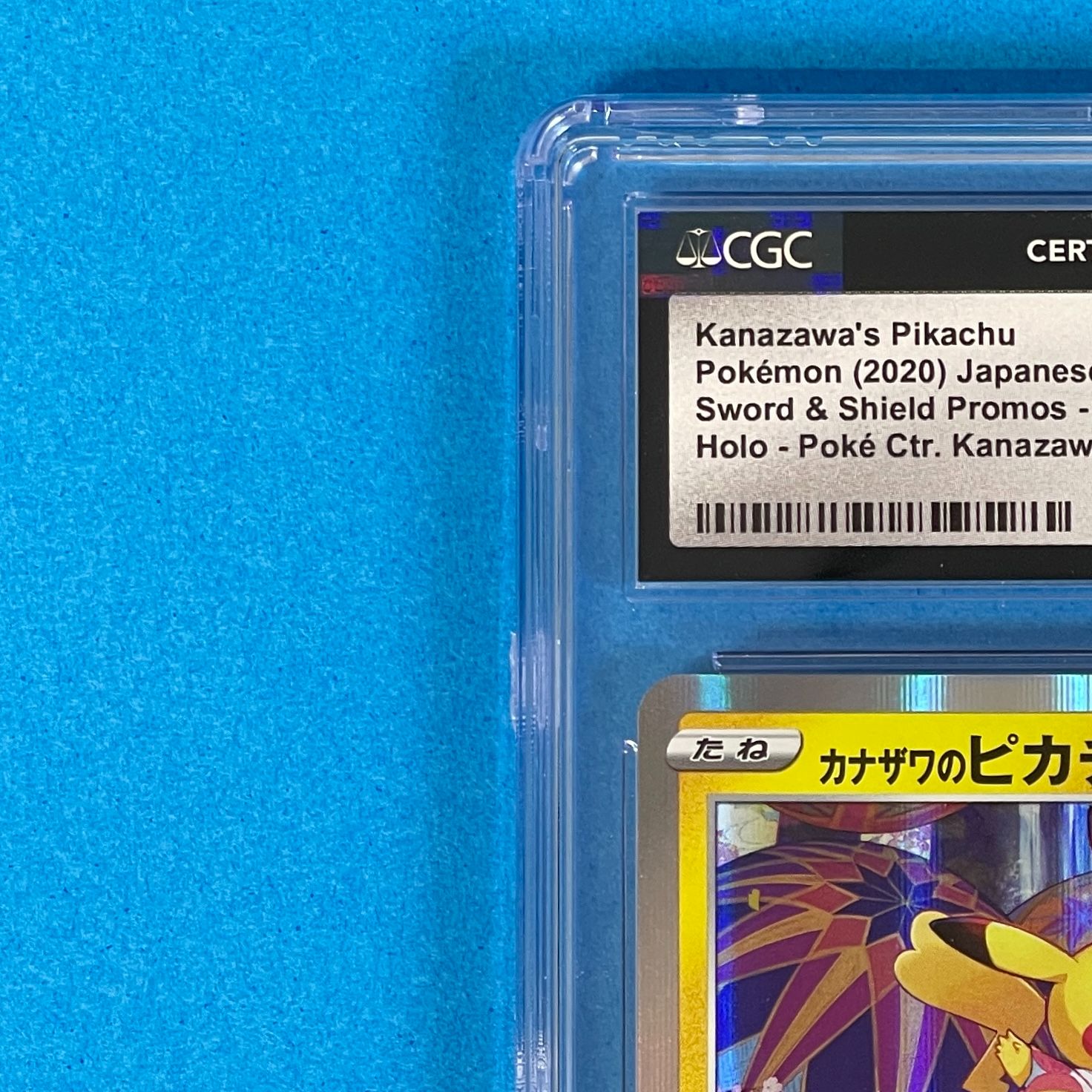 10 カナザワのピカチュウ