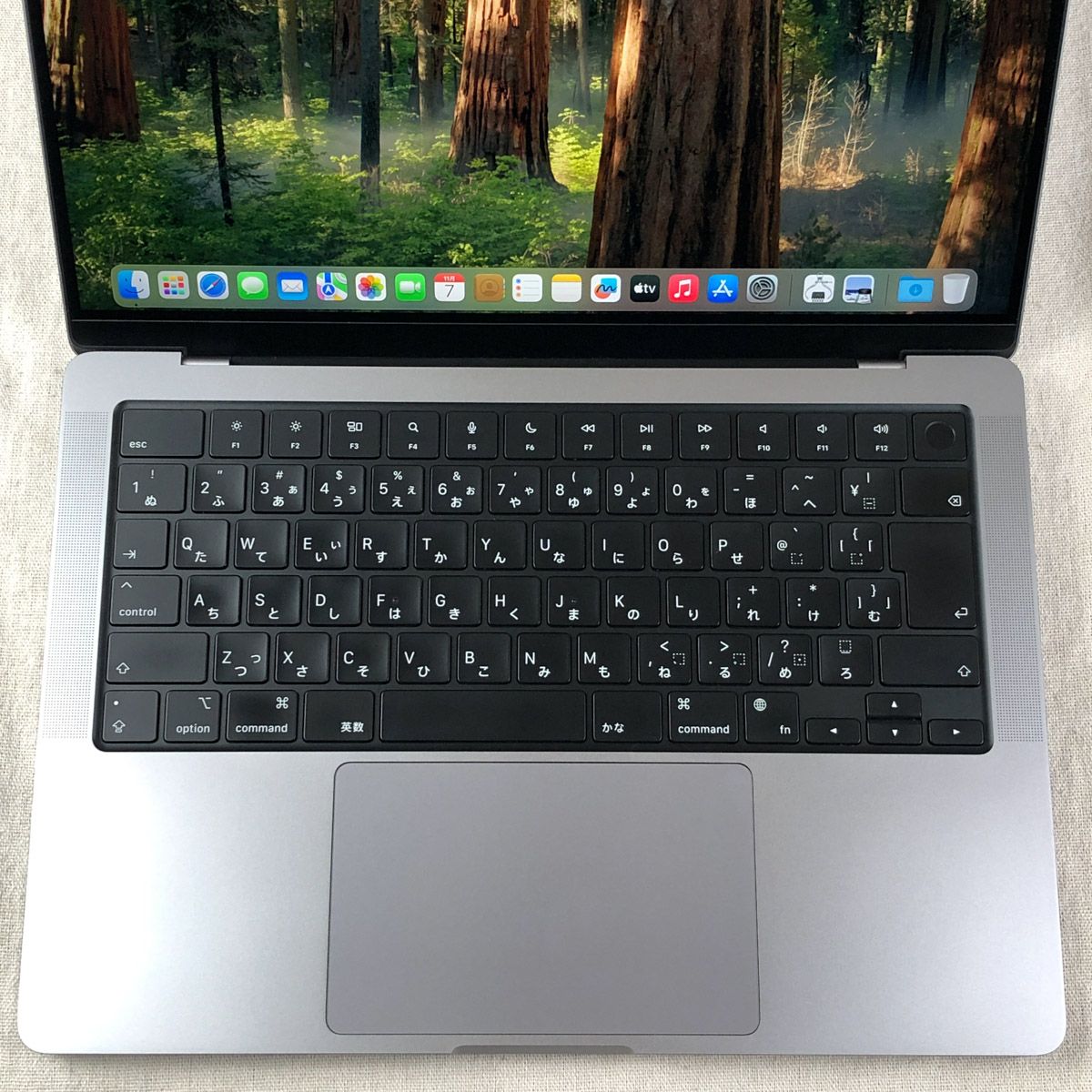 Apple MacBook