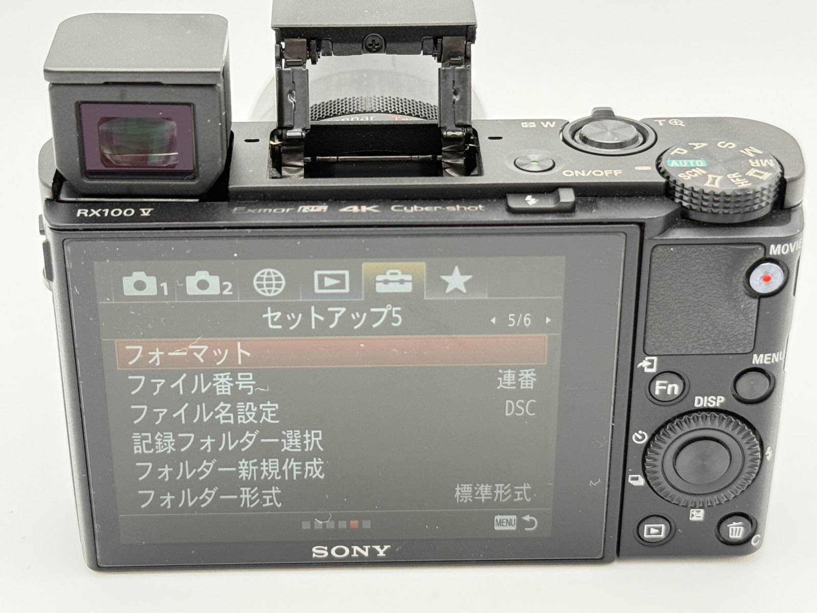 【美品】SONY コンパクトデジカメRX100M5A（バッテリー2個、充電器付） Sony Cyber-shot DSC-RX100M5A バッテリー付き 【公式通販】