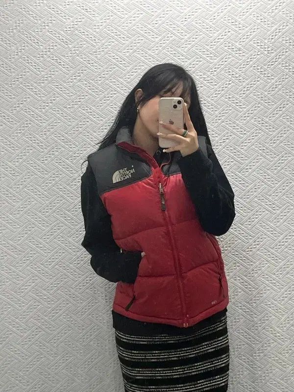 ノースフェイス ゴープコア ヌプシ グース ダウン ベスト 90 C 06443