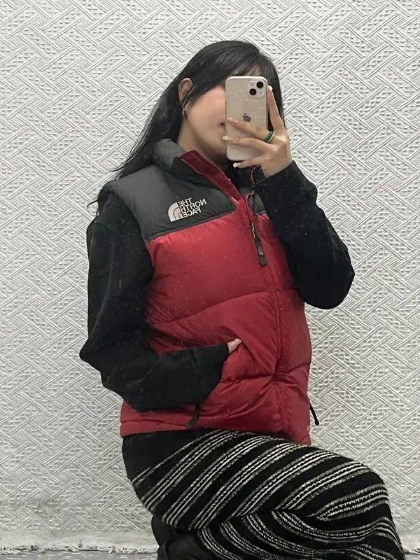 ノースフェイス ゴープコア ヌプシ グース ダウン ベスト 90 C06443