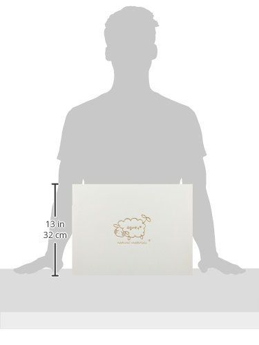 agney お食い初め トレーセット 国産 天然竹製 食洗機対応 ノーマルタイプ