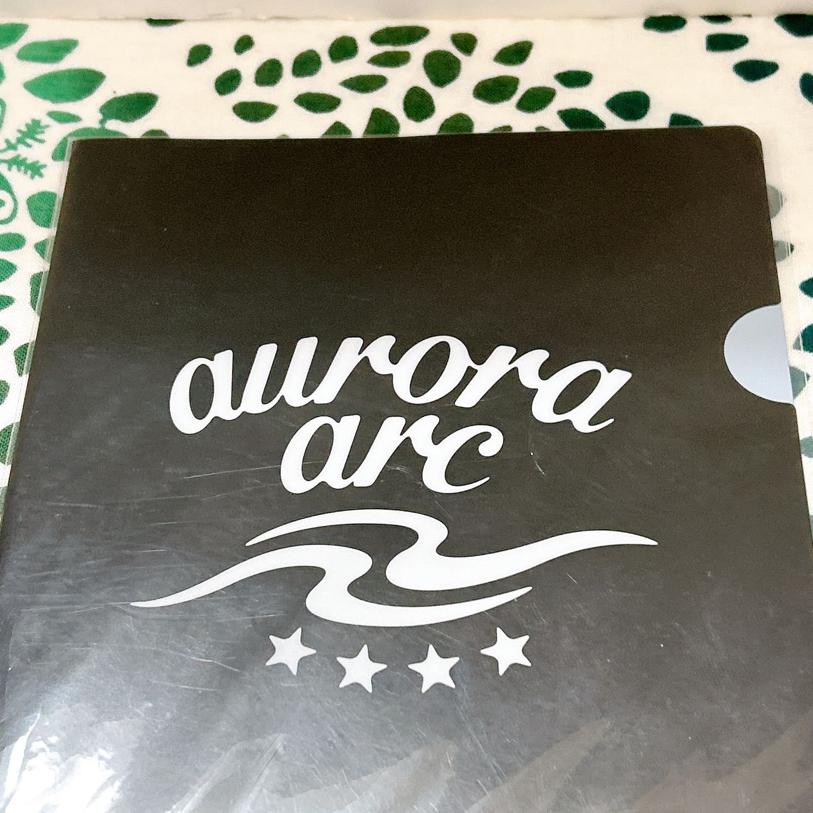 BUMP OF CHICKEN💫 aurora arc 公式クリアファイル✨ バンプオブチキン