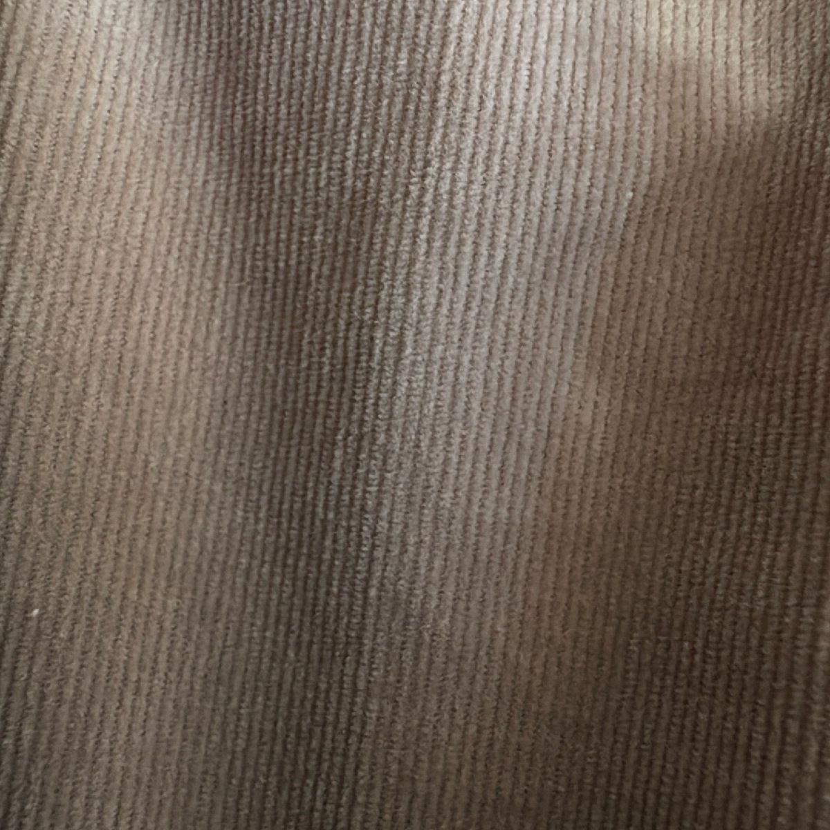 M Fil エムフィル パンツ サイズ38 M レディース - ベージュ フルレングス GINKGOPHARMACY_COM