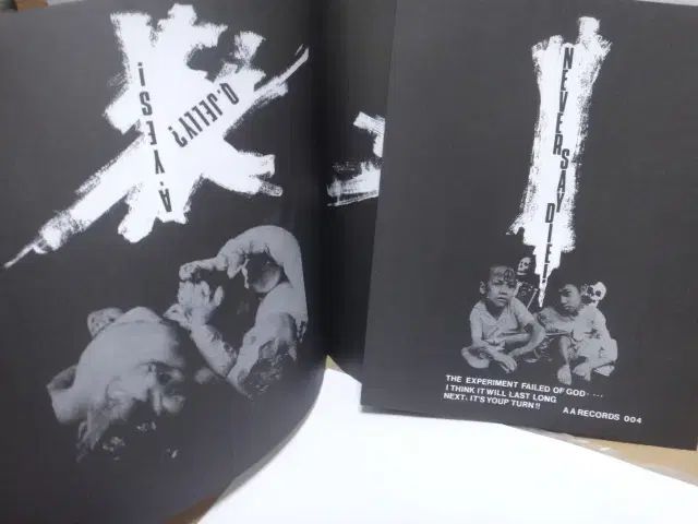 日本 LP Hardcore Unlawful Assembly 盤 その他 楽器 機材 ホビー 楽器 アート