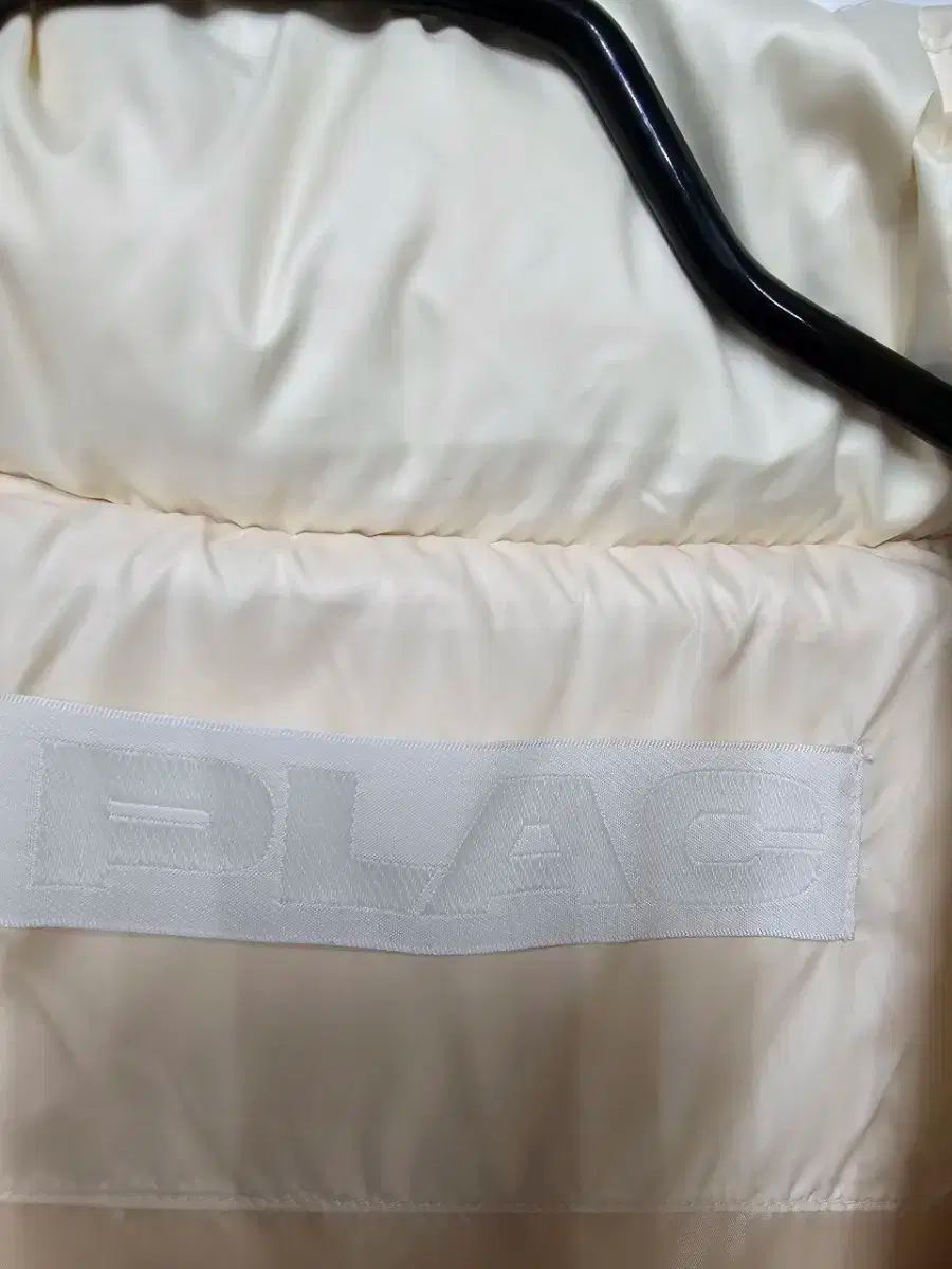 PLACダックダウンベスト 55