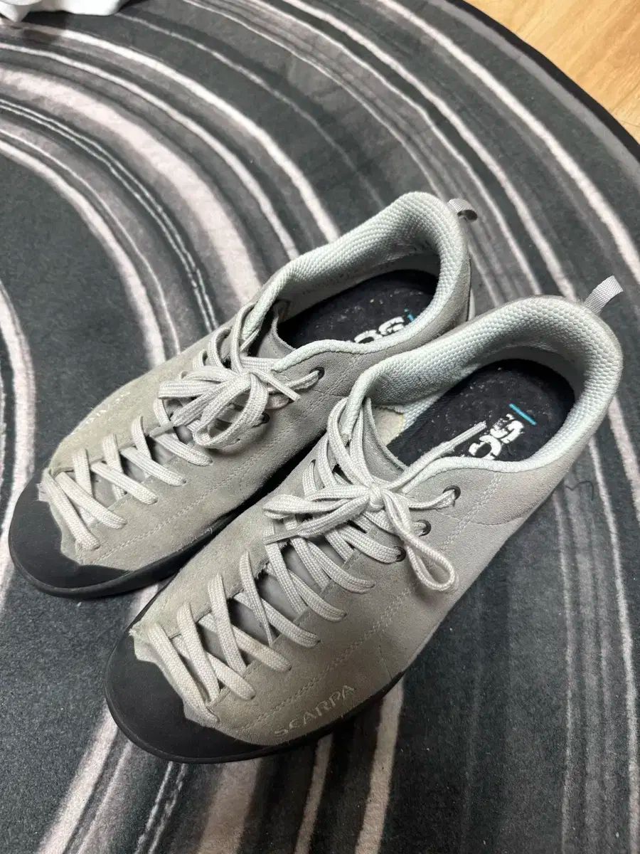 SCARPA スカルパ モヒート 270