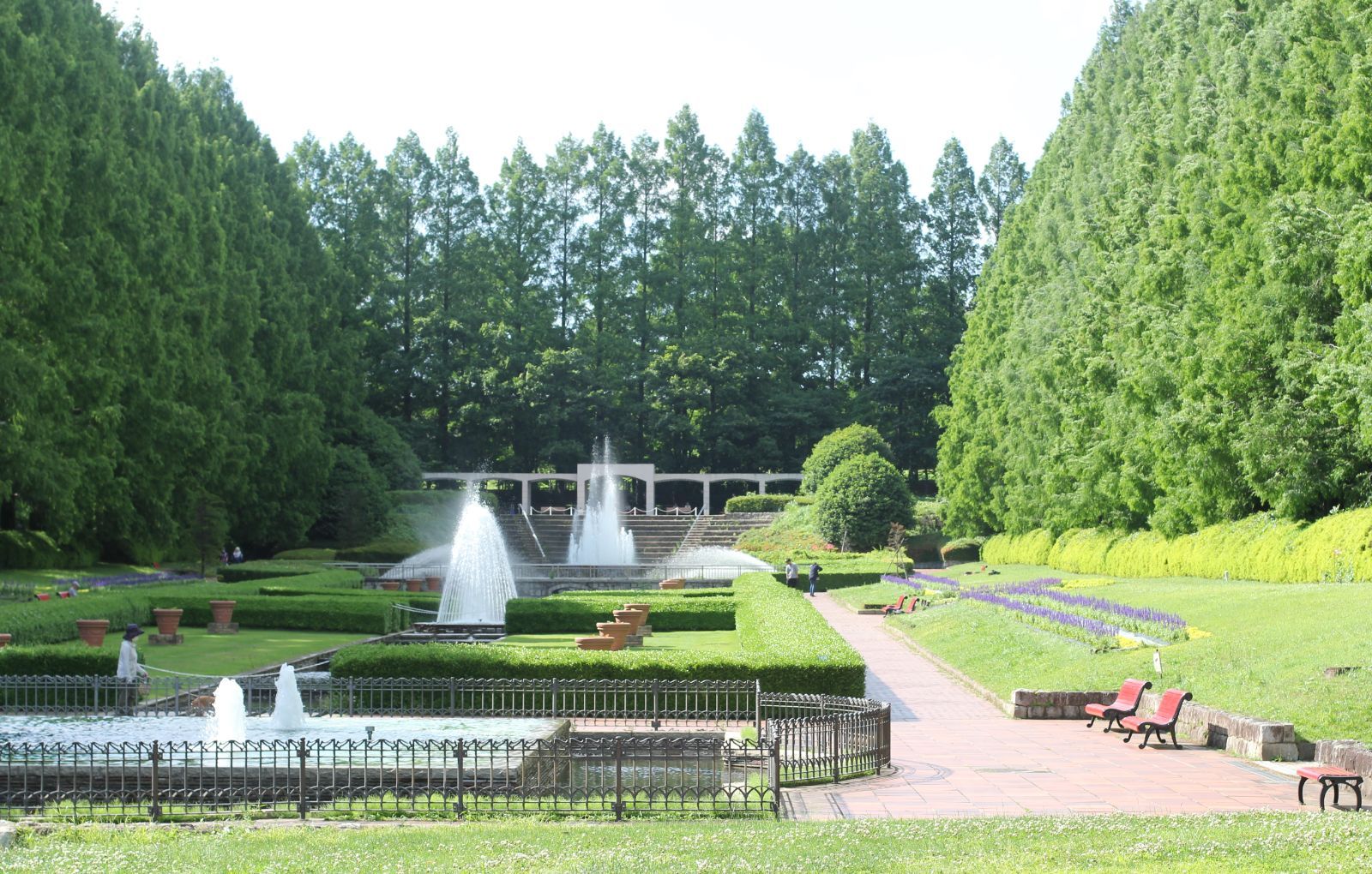 キヤノン EF 50mm f1.8Ⅱマクロレンズ 軽量・コンパクト 基本動作確認