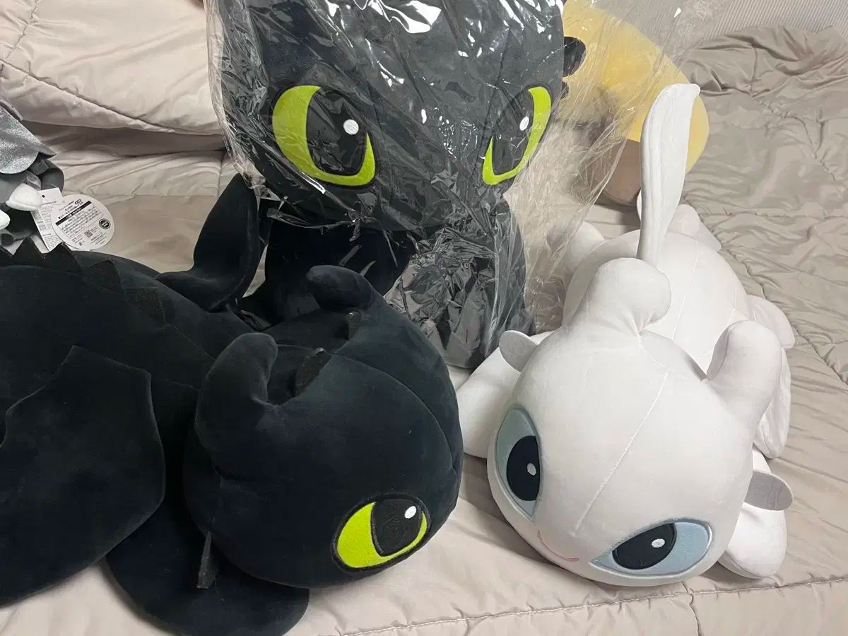 ドラゴン トゥースレス ライト ピュアリー イン ディフュージョン ぬいぐるみ 60 45