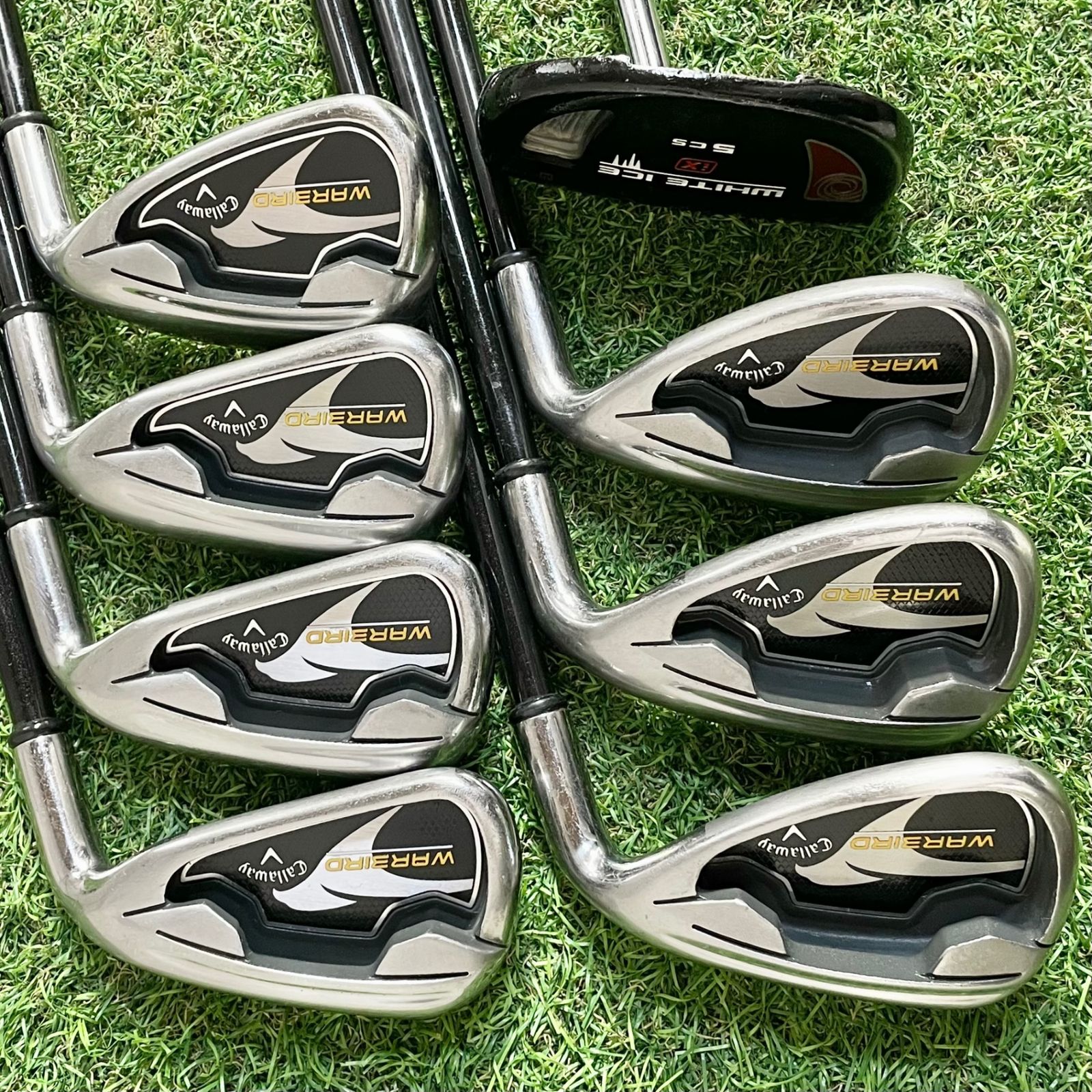 Callaway WARBIRD キャロウェイ ウォーバード ゴルフクラブセット