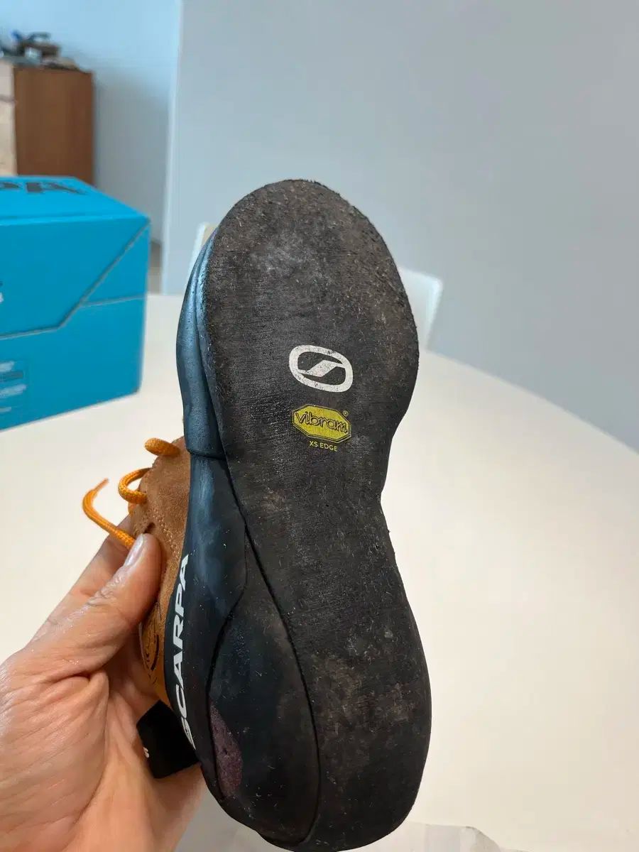 ジェネレイター