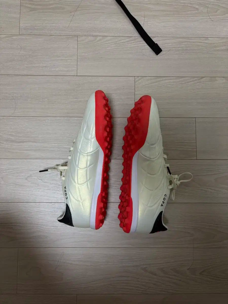 ピュア エリート