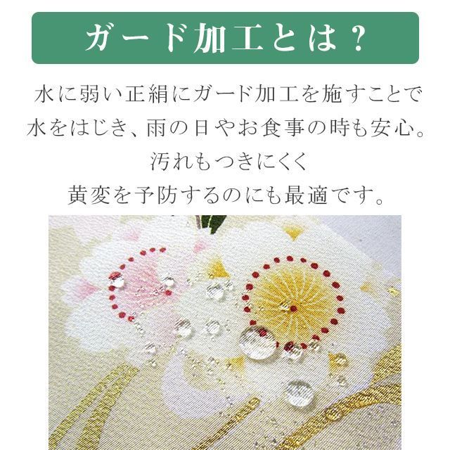 ガード加工付き 丸洗いプラン