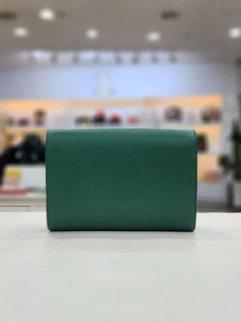 ダークグリーン 401231