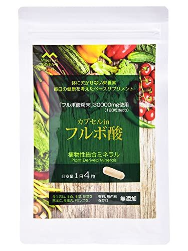 ORGANIC MINERAL｜オーガニック フルボ酸カプセル カラダに優しい植物性総合ミネラル デキストリン 配合 120粒