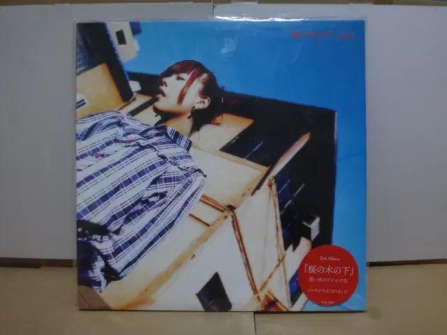日本 LP 記録 Aiko ー カブトムシ 盤 2