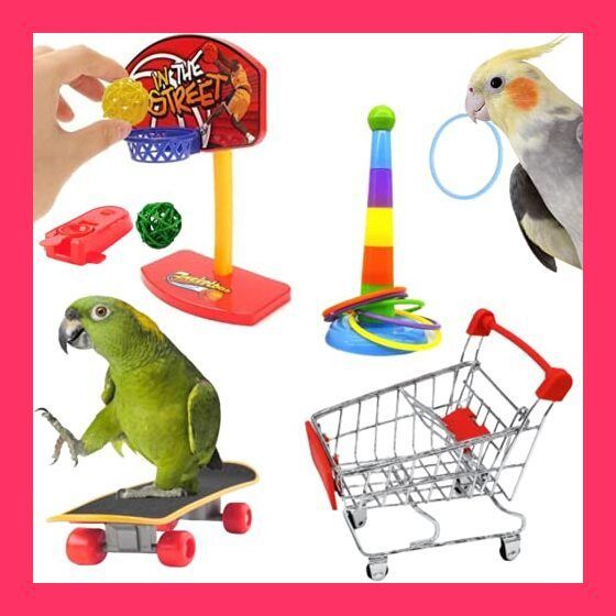 スタッフおすすめ！】[LUKASTR] インコ おもちゃ オウム ペット用品