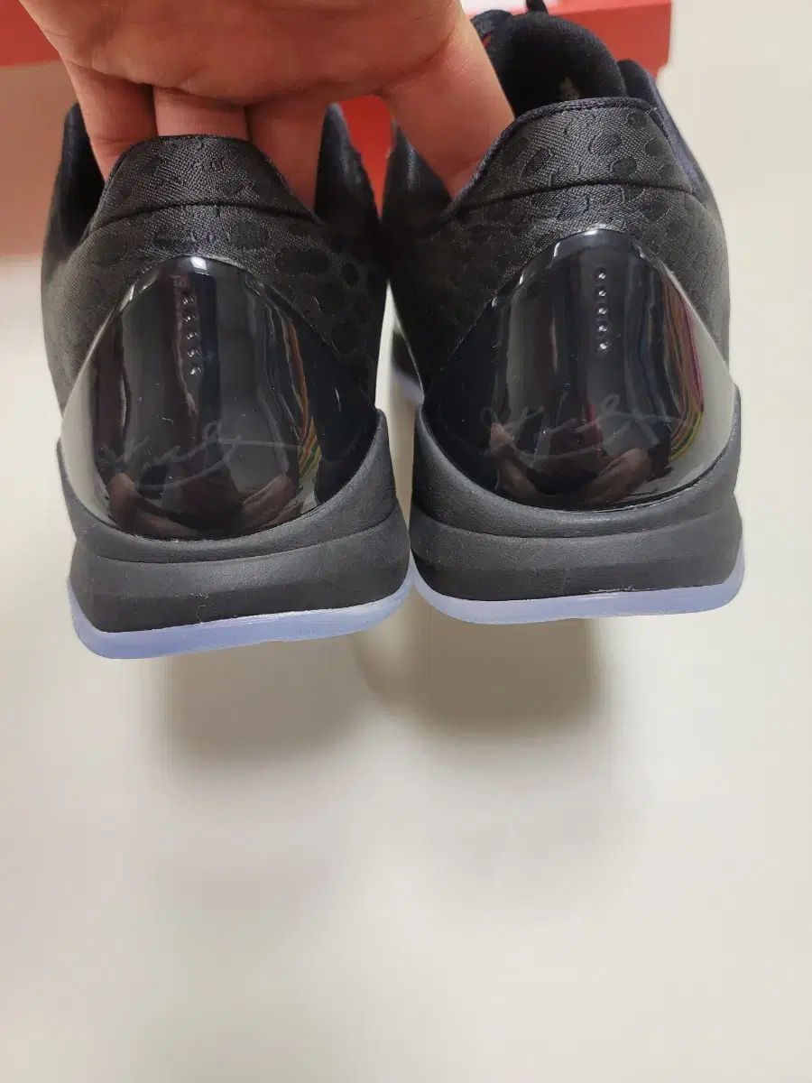  265 コービー5 イヤーOFマンバ シューズ(男性用) バスケットボール