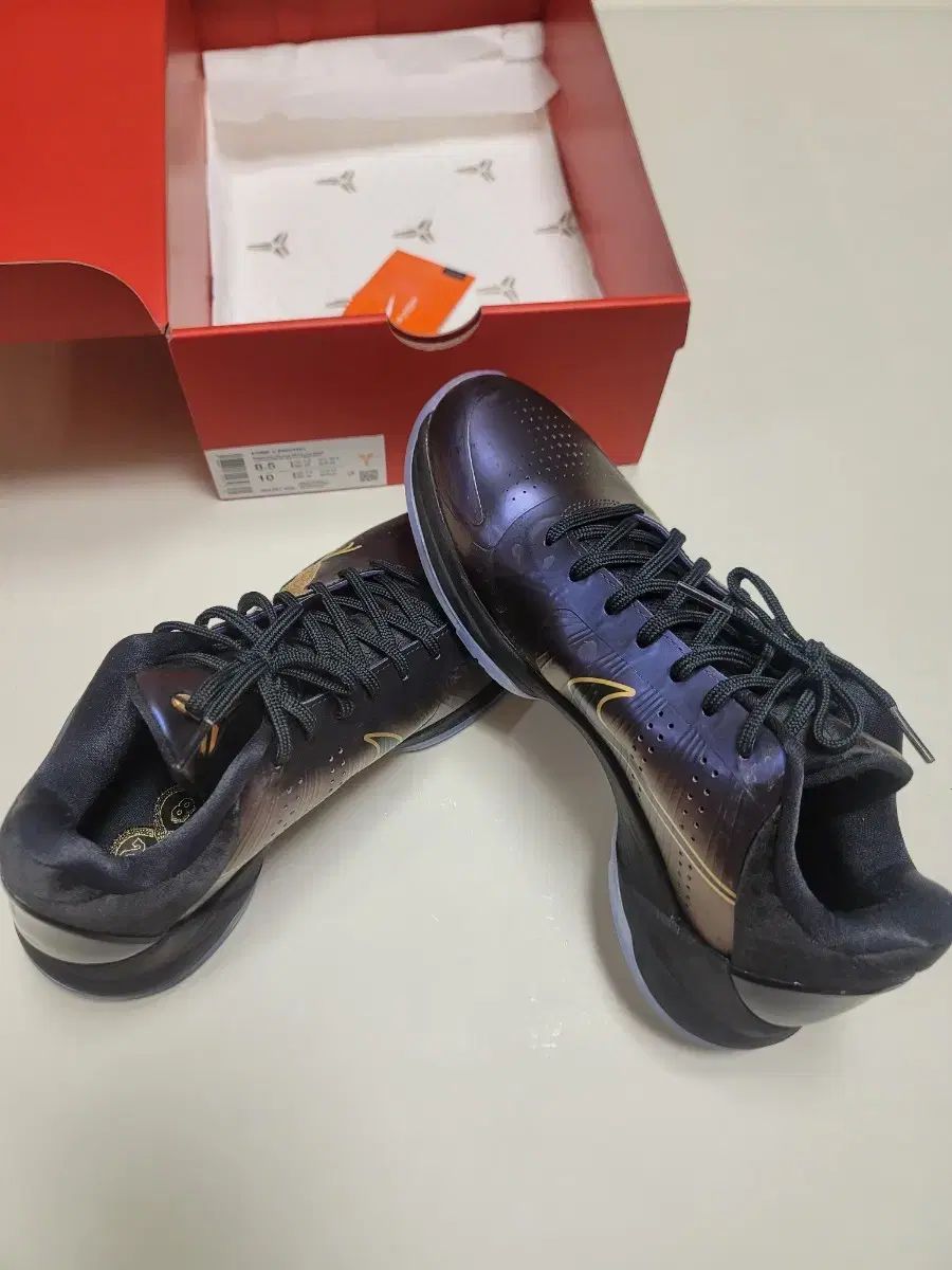 コービー5 イヤーOFマンバ