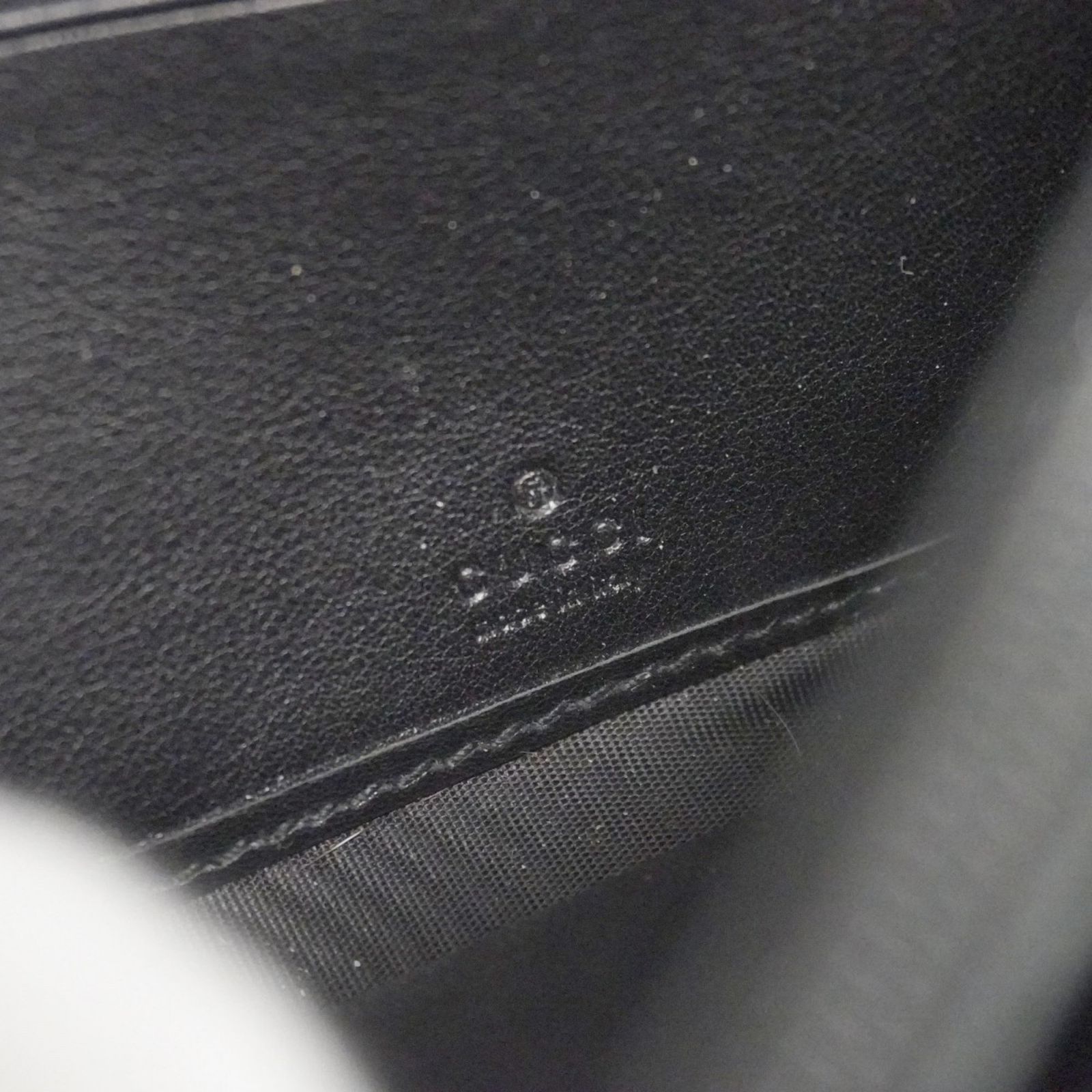 マイクログッチシマ