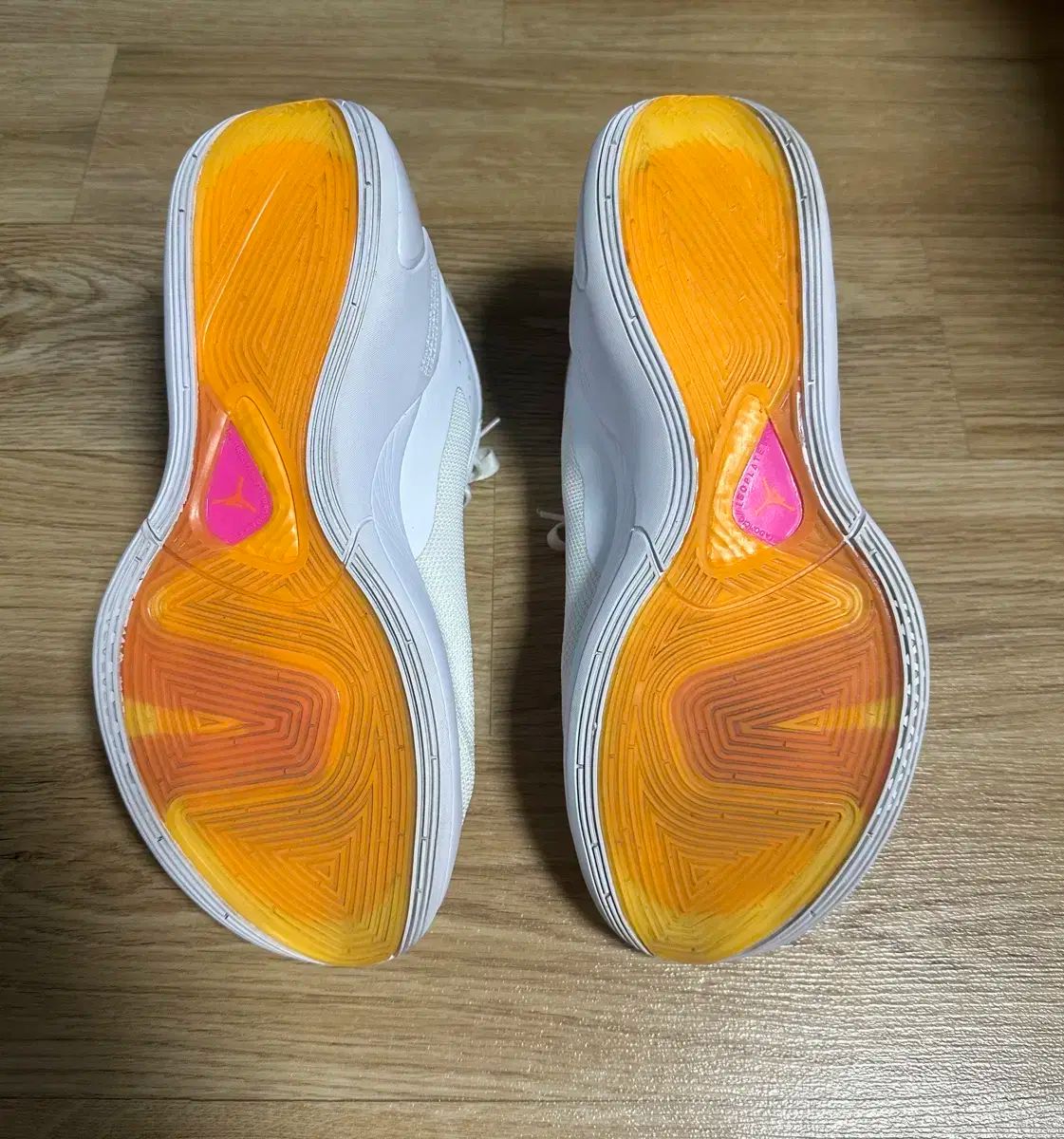 NIKE バスケットシューズ ジョーダン ルカ 1 PF 270