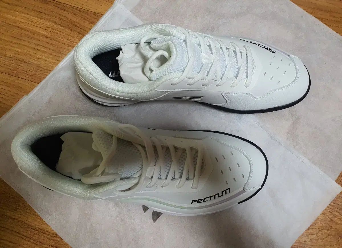 Spectrum SBS 2501 白 バドミントンシューズ 280