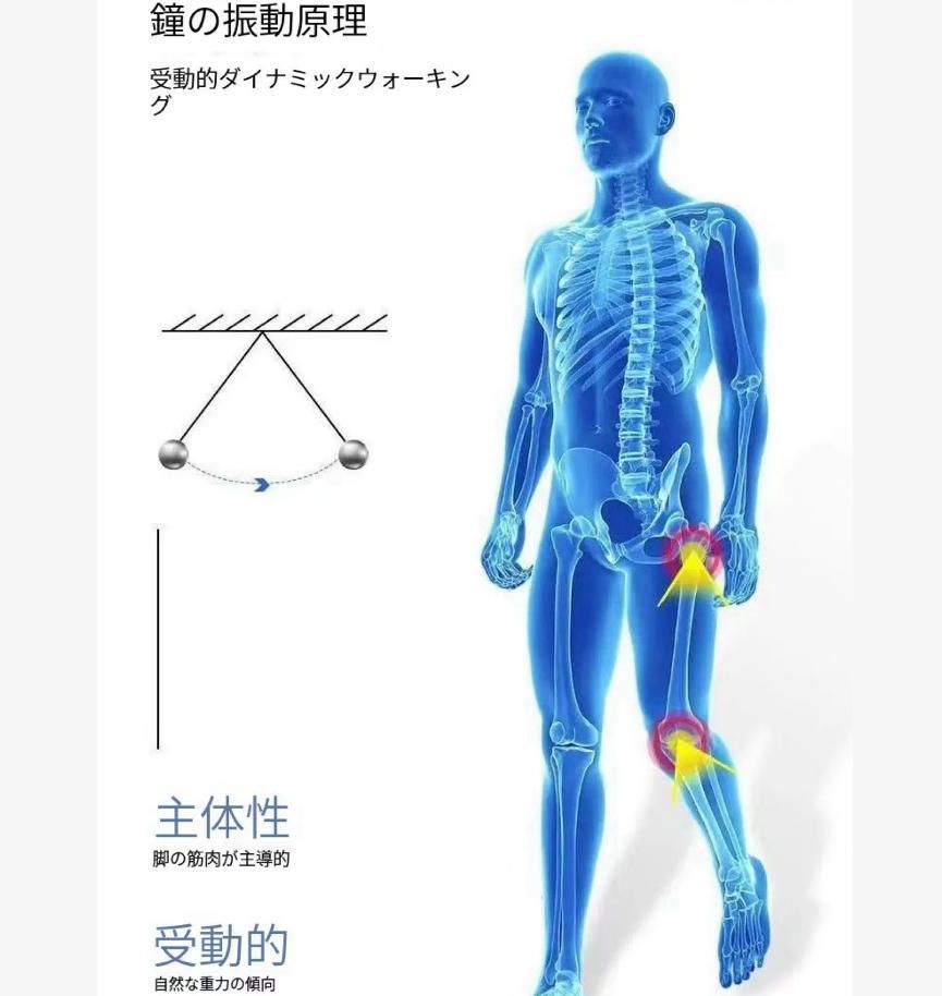 リハビリテーション歩行補助具家庭用老人風麻痹アシスト歩行訓練器こそ補助片脚上げ器を補助する