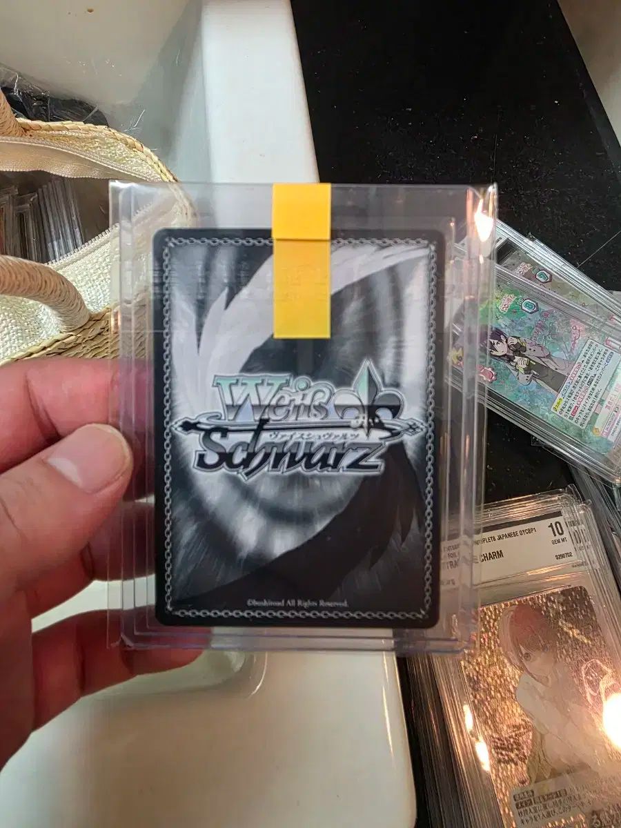 ヴァイスシュヴァルツ 緋退魔剣風記