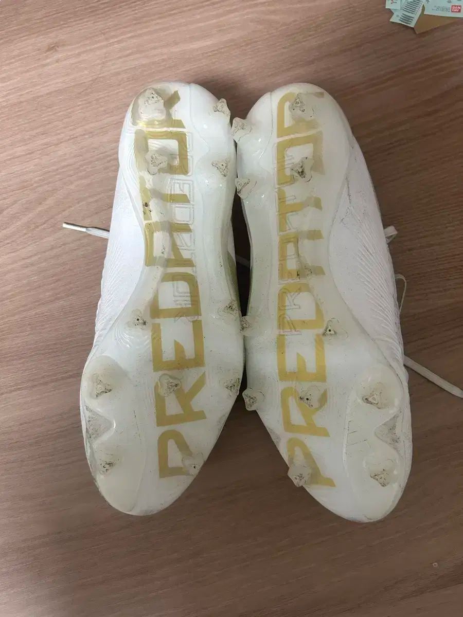 アディダス プレデター24 fg プレバージョン