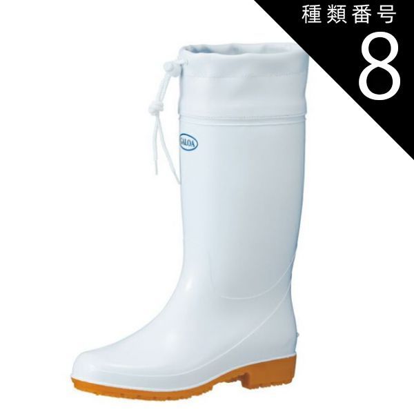 ストア 直接引取□大木ポーチュラカリア・アフラ/165cm/庭木や地植えに