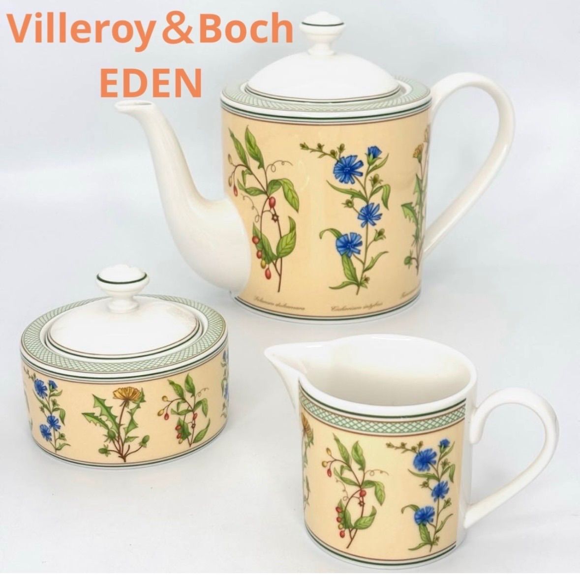 Villeroy&Boch EDEN ティーセット3点 ビレロイ&ボッホ エデン 品