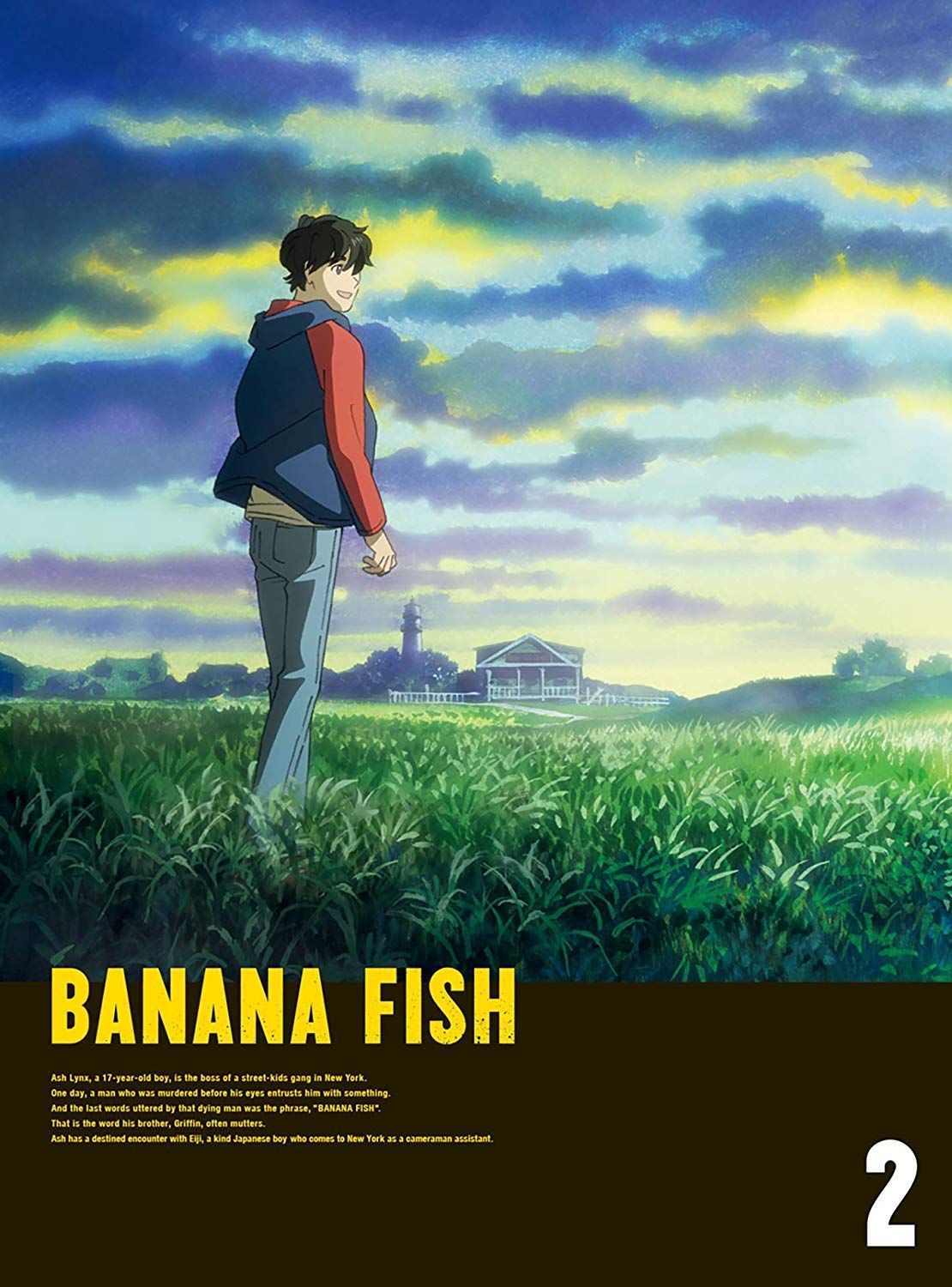 BANANA FISH DVD BOX 2 完全生産 版 内田雄馬 出演 野島健児 出演 内海紘子 監督 形式 DVD