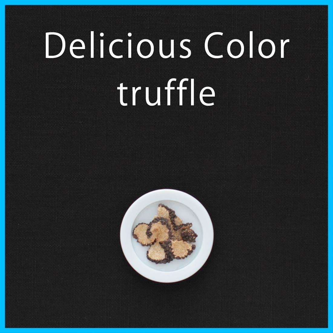 新着商品 テーブルクロス デリシャス 10色 4サイズ 撥水 長方形 無地 ブルーミング中西 洗濯機で洗える 撥水加工 トリュフ 黒 130×230cm