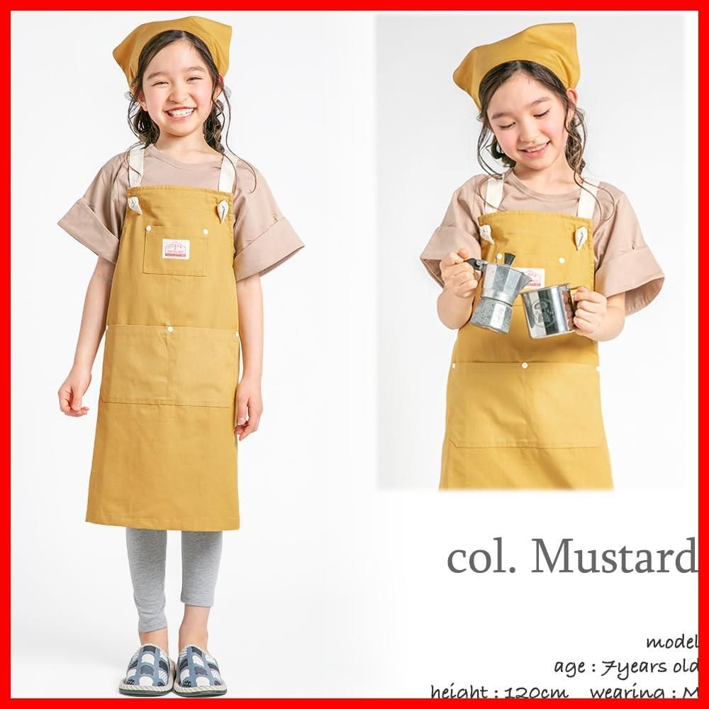 オーシャン-グラウンド