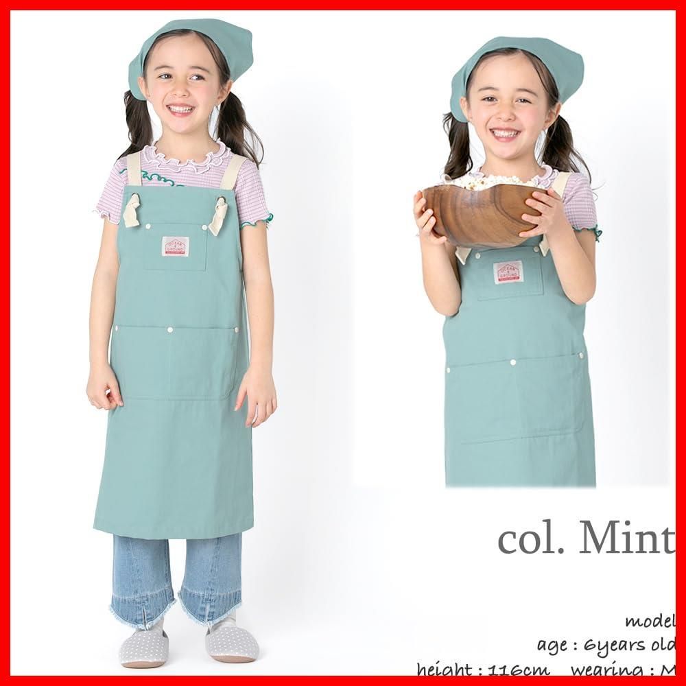 オーシャン-グラウンド