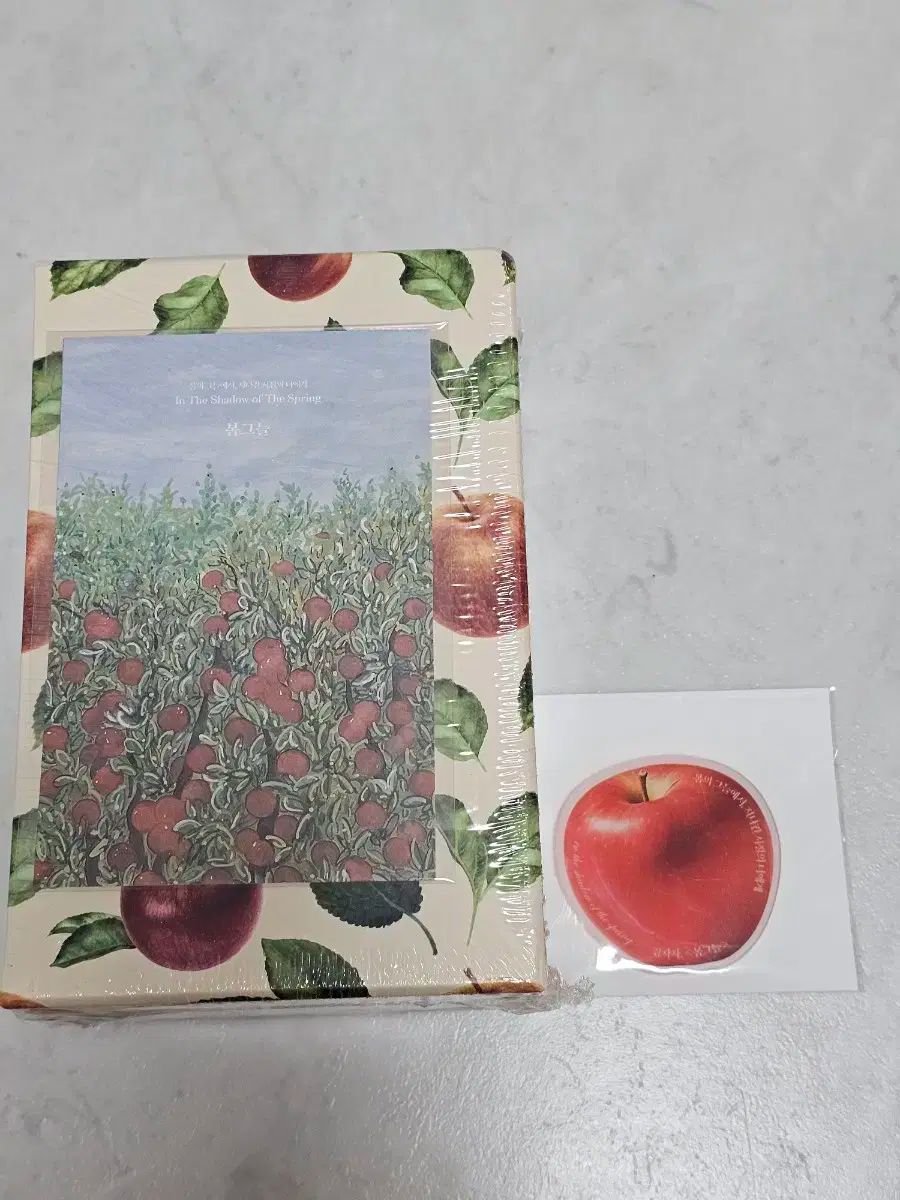 ロマンス小説 キム チャチャ 春日陰 ボックスバージョン