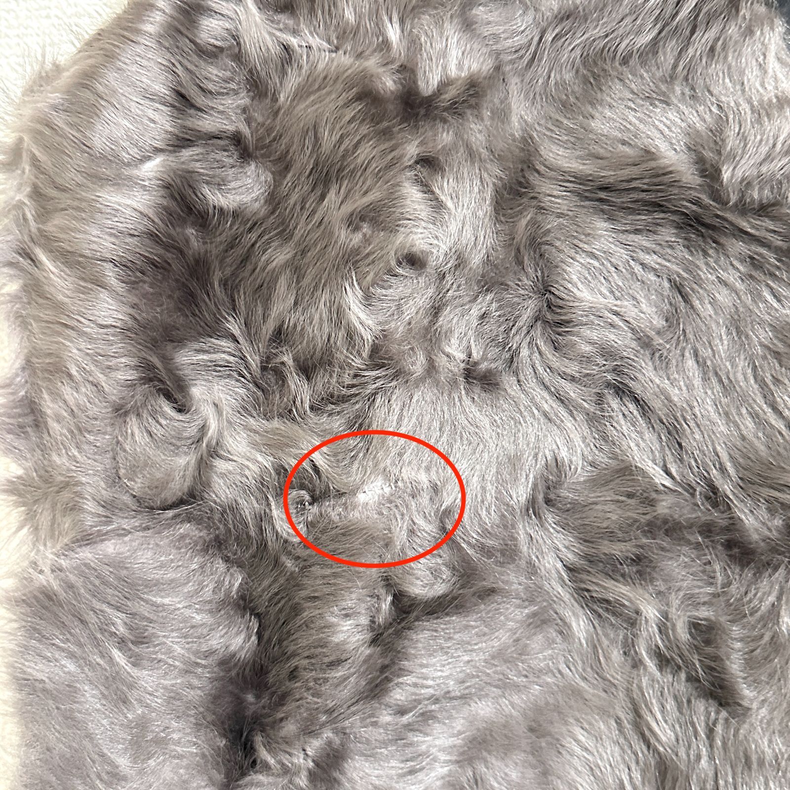 チキャンラムファーベスト