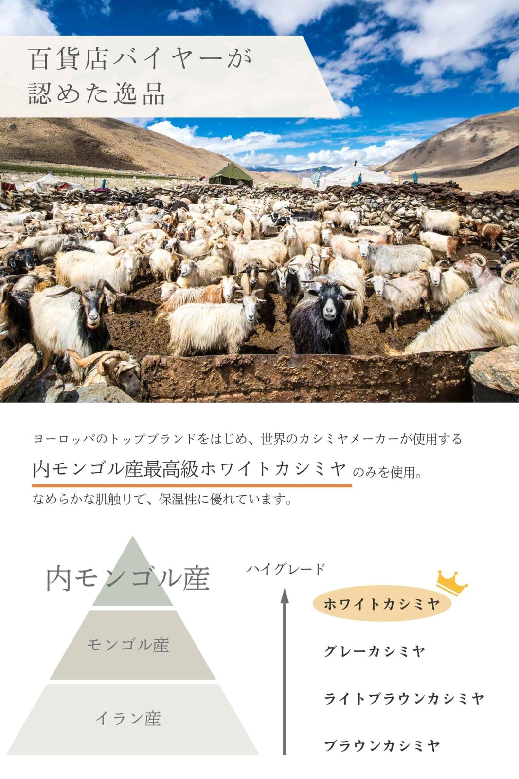 レディース 空気をまとう約30