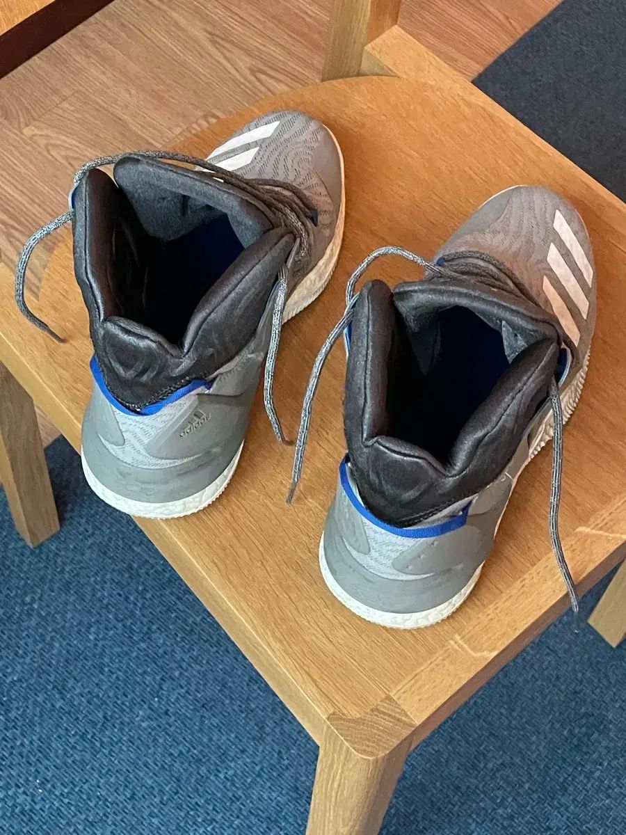 adidas デリック ローズ7 バスケシューズ 280