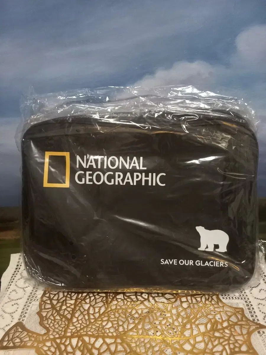 ナショナルジオグラフィック ドゥオーモ バッグ IN バッグ 4種 セット