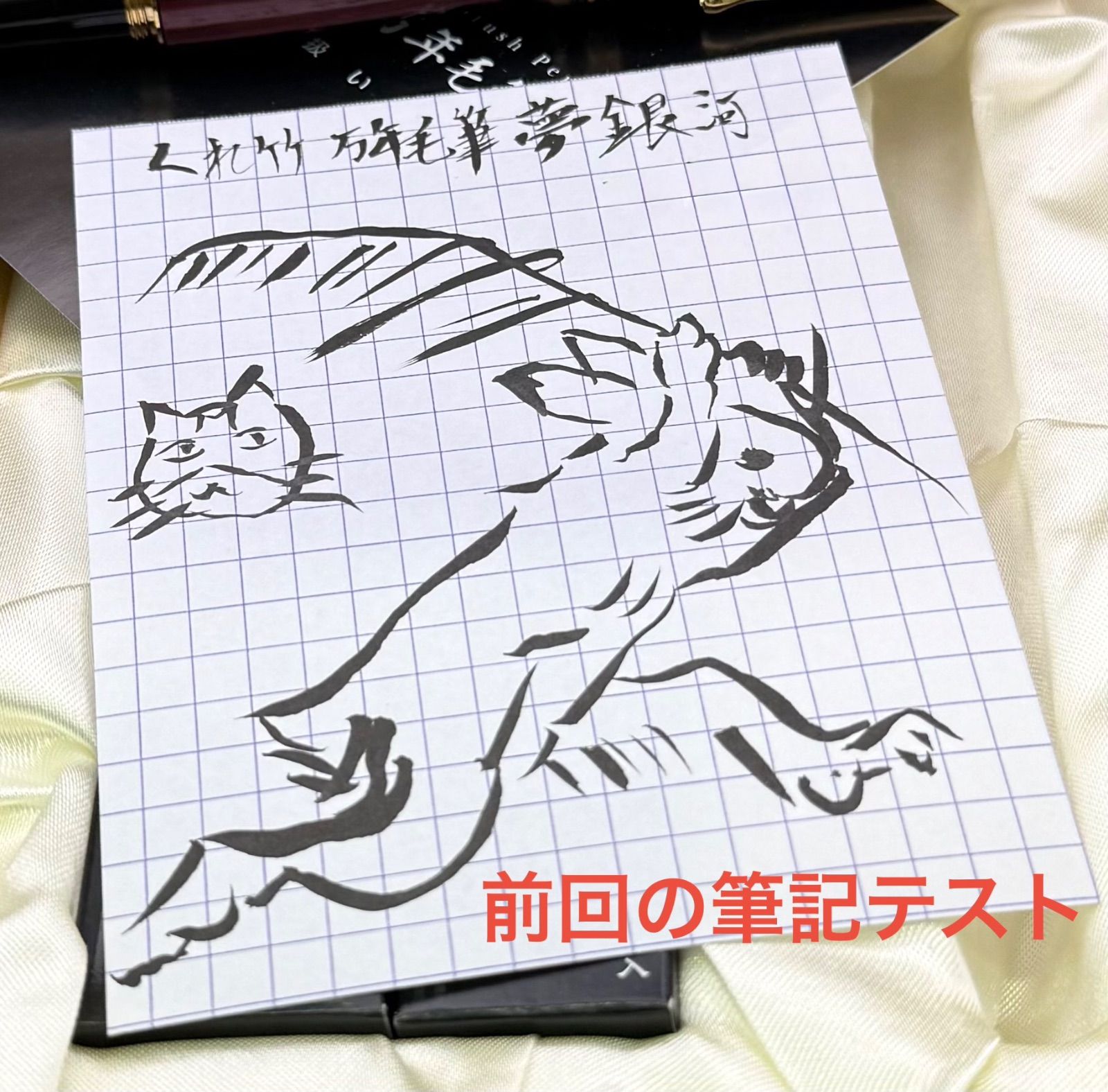 呉竹 万年毛筆 夢銀河 梨 猫のペン屋 WWW_OPDRERGINERDOGAN_COM