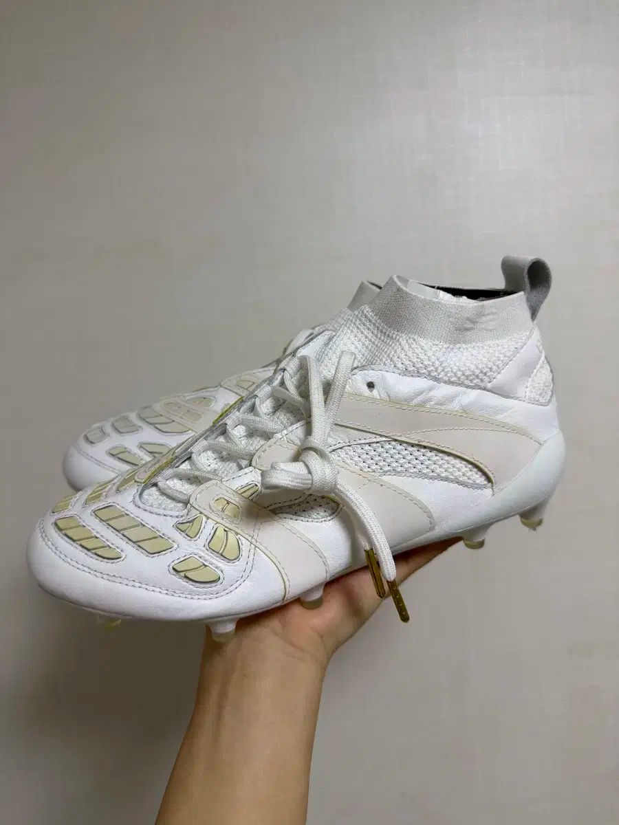 レイター ベッカム